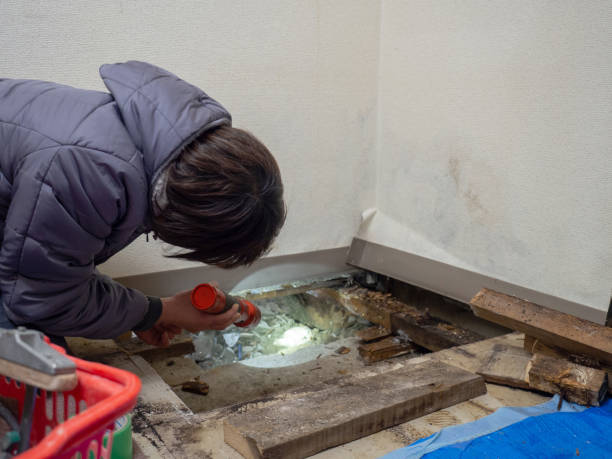 Best Post-Remediation Verification Testing  in Rensselaer, NY