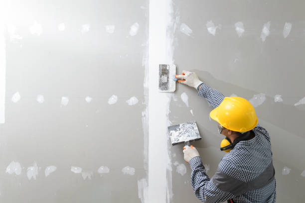 Best Mold Damage Restoration  in Rensselaer, NY