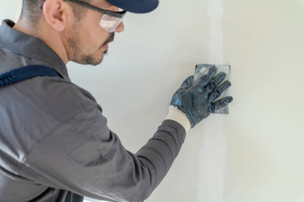 Best Asbestos and Lead Testing During Mold Inspection  in Rensselaer, NY