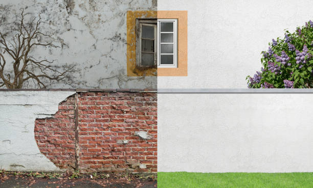 Best Comprehensive Air Testing for Mold Contaminants  in Rensselaer, NY